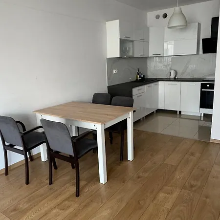 Nad Warta W Poznaniu W Centrum Poznań